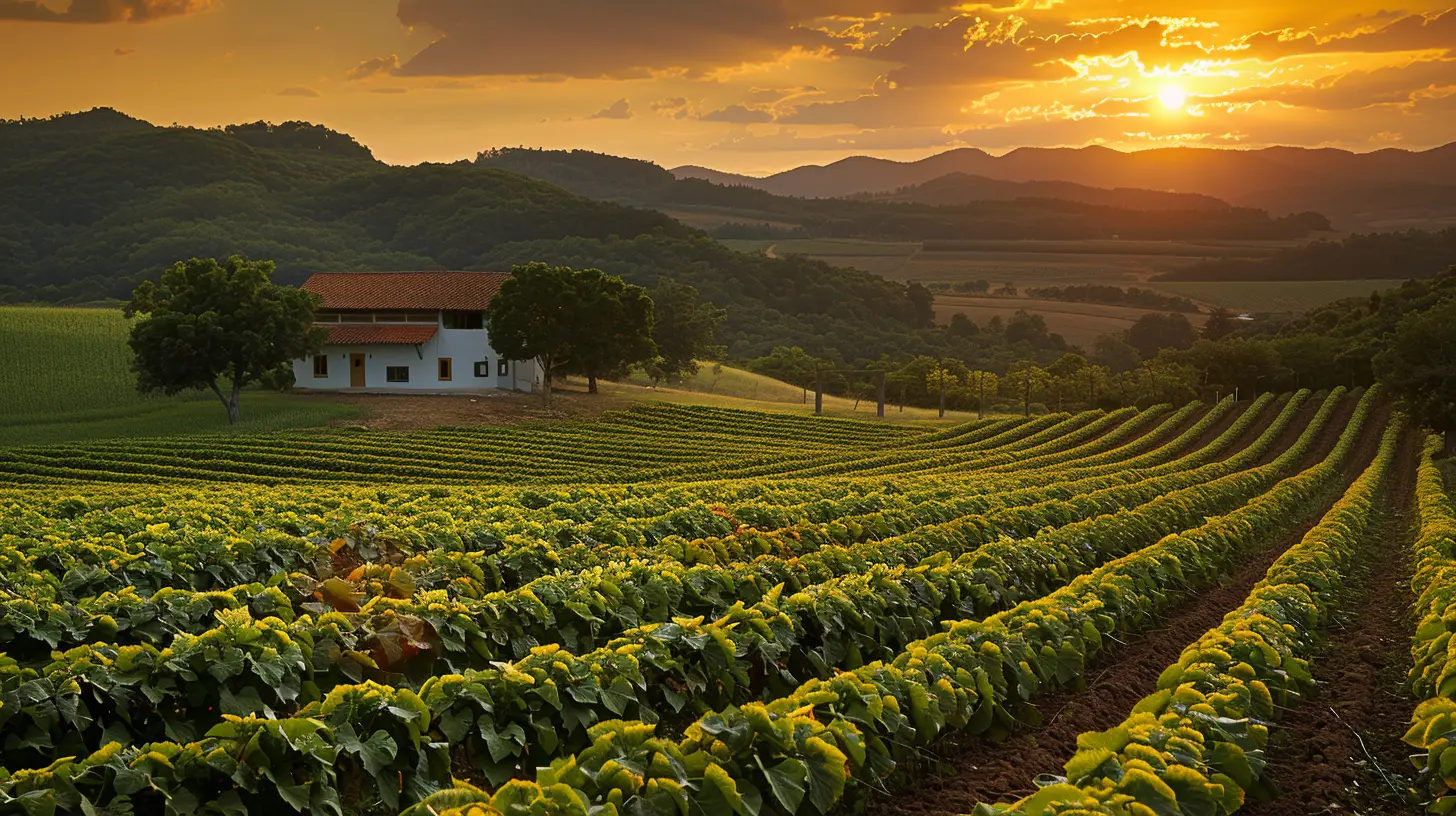 How Farm Stays Embrace Sustainable Tourism