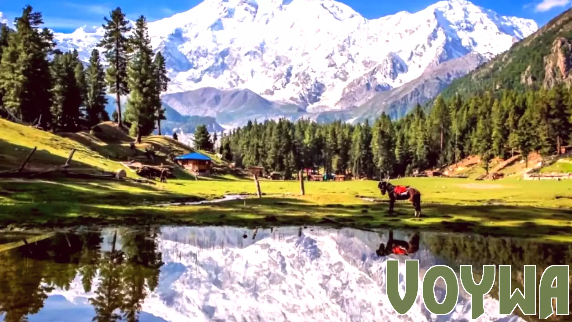 The Tourism Industry's Struggle with Environmental Degradation and Economic Viability in Gilgit-Baltistan